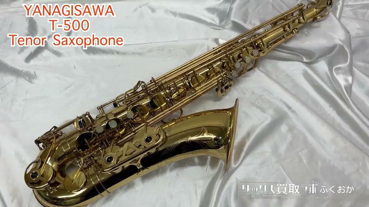 テナーサックス YANAGISAWA T-500 ✨希少✨Yanagisawa テナー