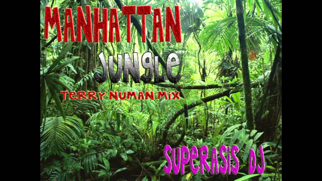 Superasis- Manhattan Jungle (Terry Numan Mix)