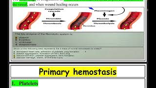 lec 3 revision on primary hemostasis