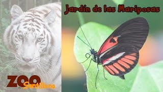 Zoo de Santillana del Mar (Jardín de las Mariposas)
