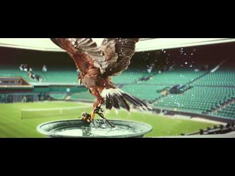 Vídeo: Pet Scoop: Wimbledon Hawk Roubado Encontrou-se Seguro e Som, Surpreendendo a Notícia do Parasite da Ninhada de Gato