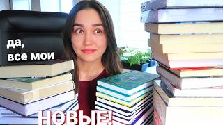 Гора новых книг! Шикарных и не очень 🤪