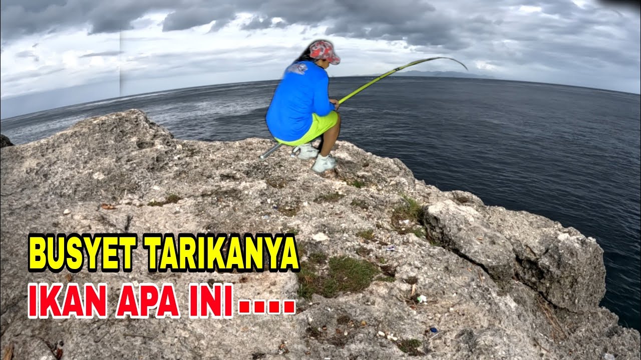 ⛔ Dapat perlawanan sengit   ikan apa ini busyettt