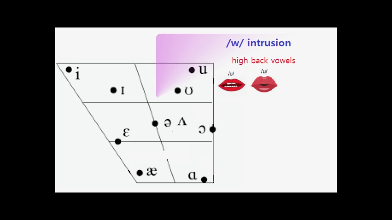 4-2-1. /j/ and /w/ intrusion