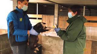 Promocional ASOPORCEL