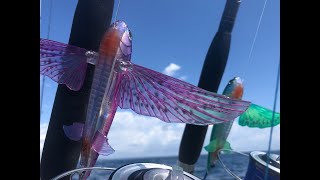 Flying Fish Multiple Rigging Options - Nomad Slipstream Flying Fish Overview of all Rigging Options.