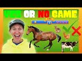 Animals Part 2 | Yes or No Game | Dream English Kids