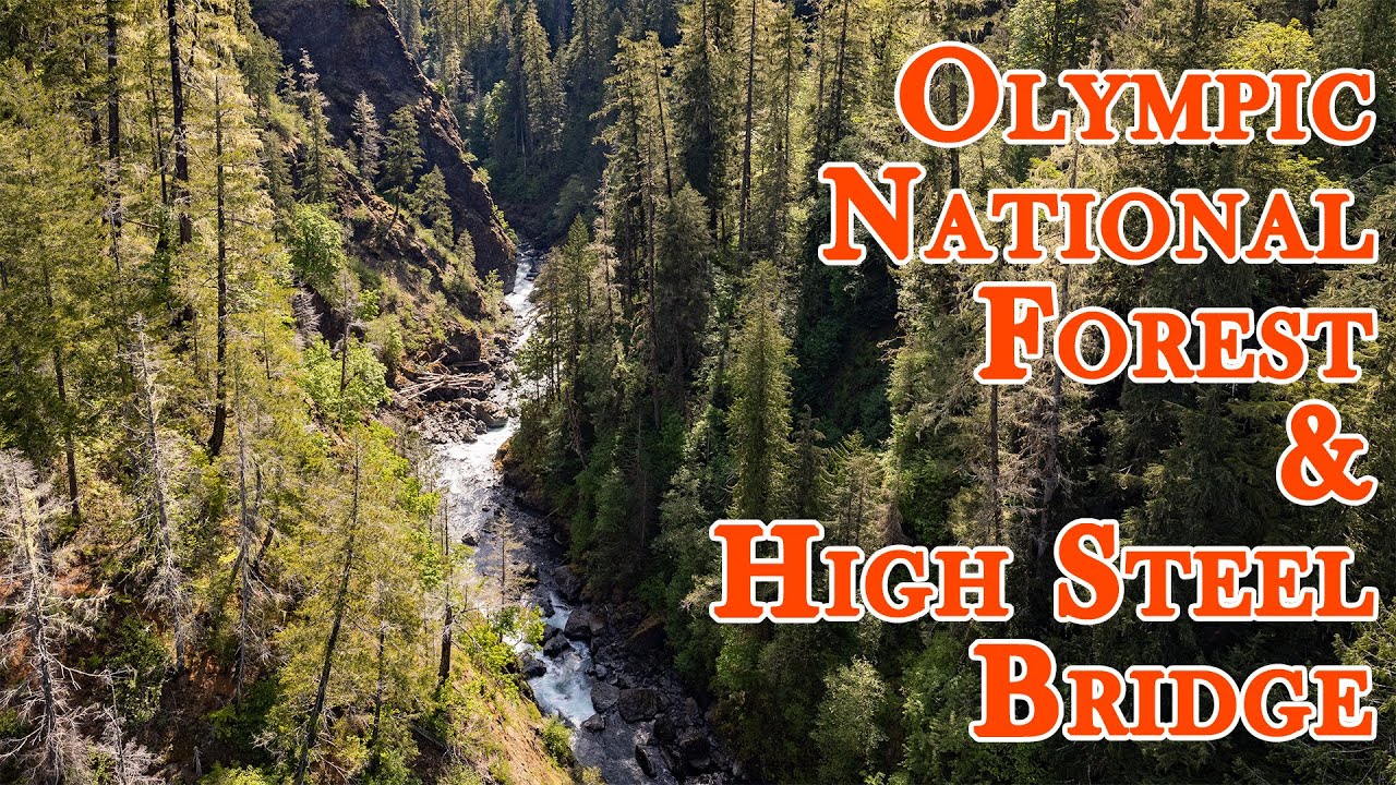 Olympic National Forest High Steel Bridge YouTube