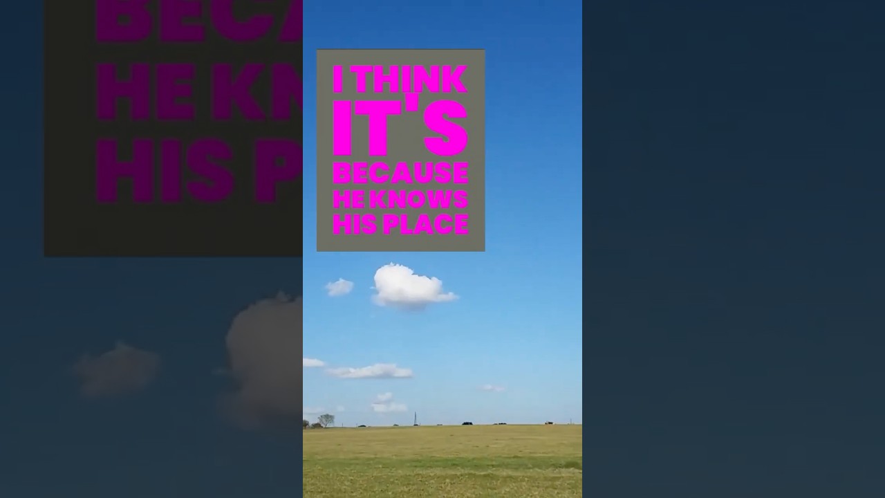 Squidward @ The Cookout - Demi Adejuyigbde 