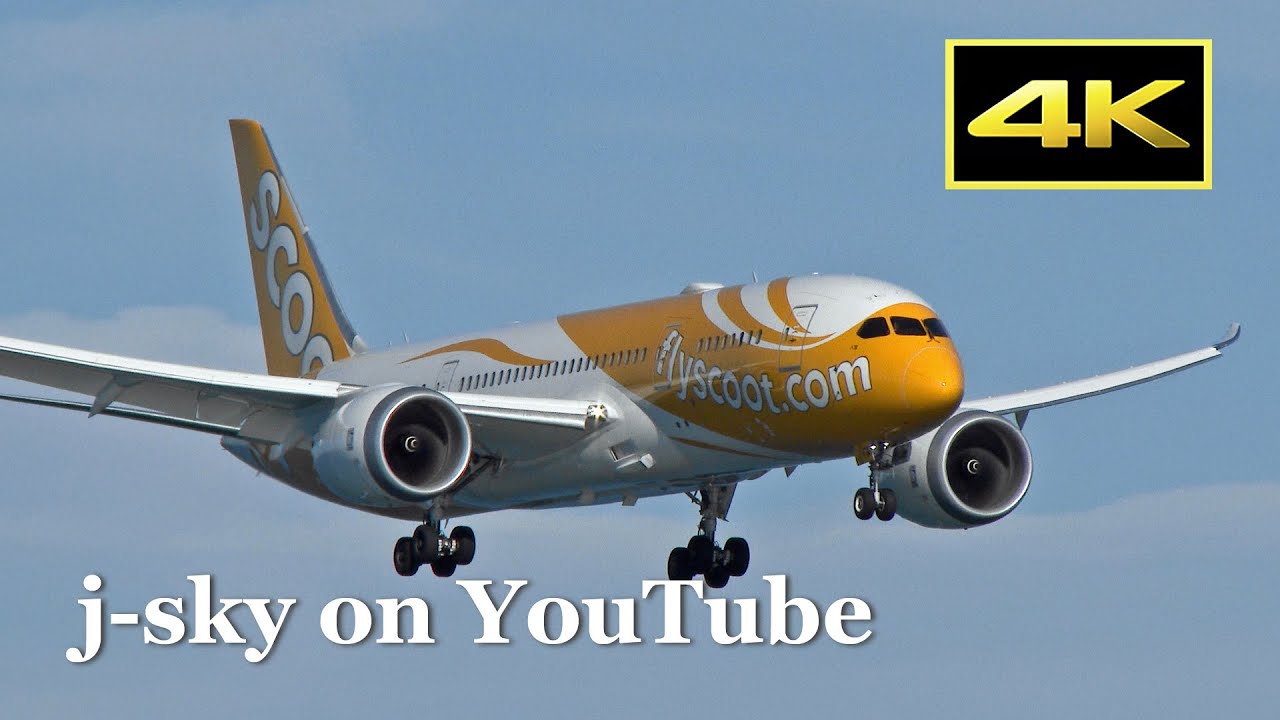 4K] [関西空港] Fine day! Scoot Boeing 787-8 [9V-OFA] landing