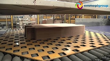 Vacuum Belt Striper Stacker and full automatic RDC Palletizing line