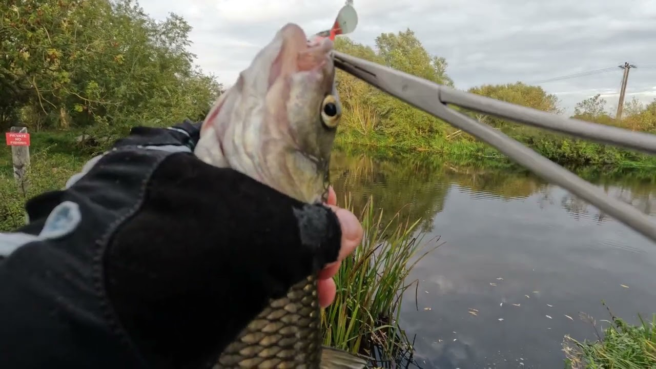 Pescuit cu surprize! 