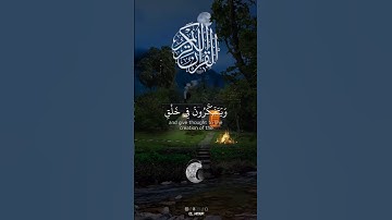 ما تيسر من سورة آل عمران القارئ عمر بن ضياء الدين #اكسبلور #دويتو #اكسبلور_ #لايك #ريلز #duet #قرآن