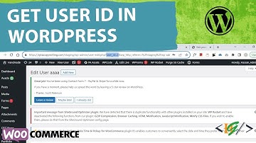 How to Find User ID in WordPress | Customer ID