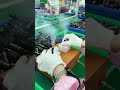 كيف تنصنع الشيشه السعودية الكويت السعوديه قطر الأمارات البحرين تيك توك شيشة الكترونية لايك كيف تنصنع الشيشه السعودية الكويت السعوديه قطر الأمارات البحرين تيك توك شيشة الكترونية لايك
