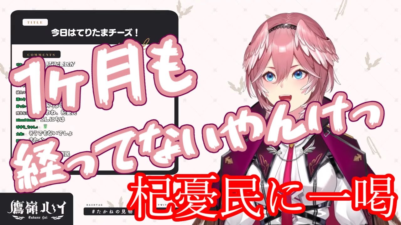 【鷹嶺ルイ/ホロライブ】杞憂民に一喝