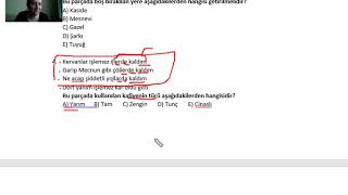 Edebiyat (Mehtap Tasasiz) 11.Sınıf - Karma