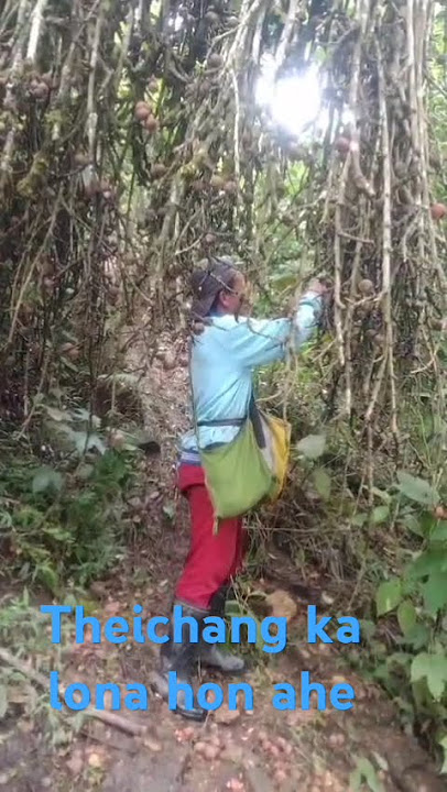 Neolai hi chi theichang phung nga hi ana ki² khai nilhum ji ahe