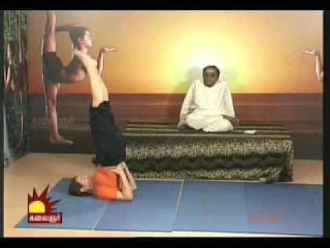 Dr. Asana Andiappan Kalaignar Tv Yoga Program 28.02.2013 ashtanga mysore