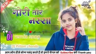 GORI TOR NASHA // New nagpuri DJ song / singer Vishal tirkey& tanya Kumari / mix by DJ Pritam chando