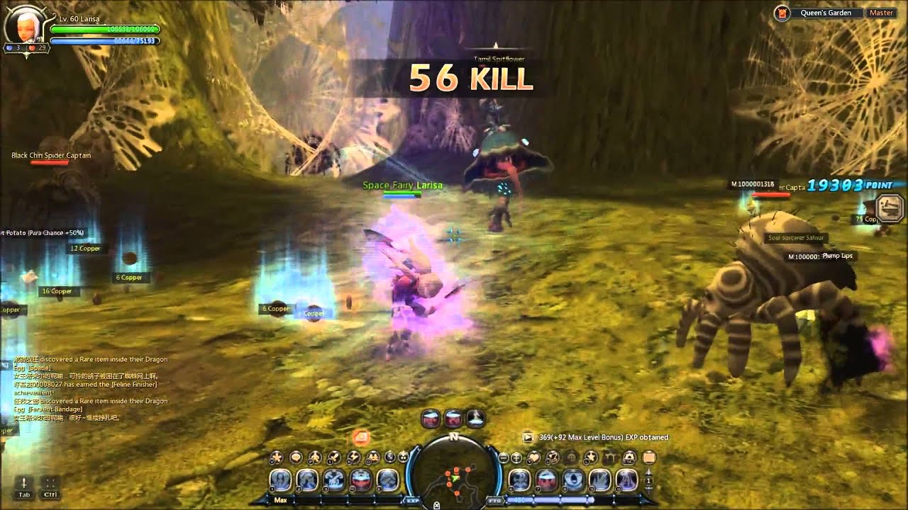 Dragon Nest - CN - Kali [Level 60 - Queen's Garden - Master Solo]