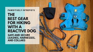 The Best Gear for Hiking with a Reactive Dog: Safe and secure leashes, harness, and collars by Pawsitively Intrepid 6,865 views 3 years ago 9 minutes, 31 seconds