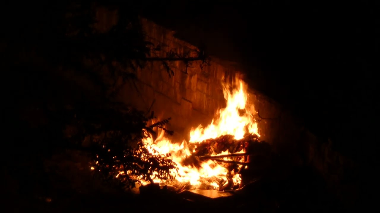 Video recording with manual ISO is a delight! No grain at all! Panasonic Lumix FZ80/82