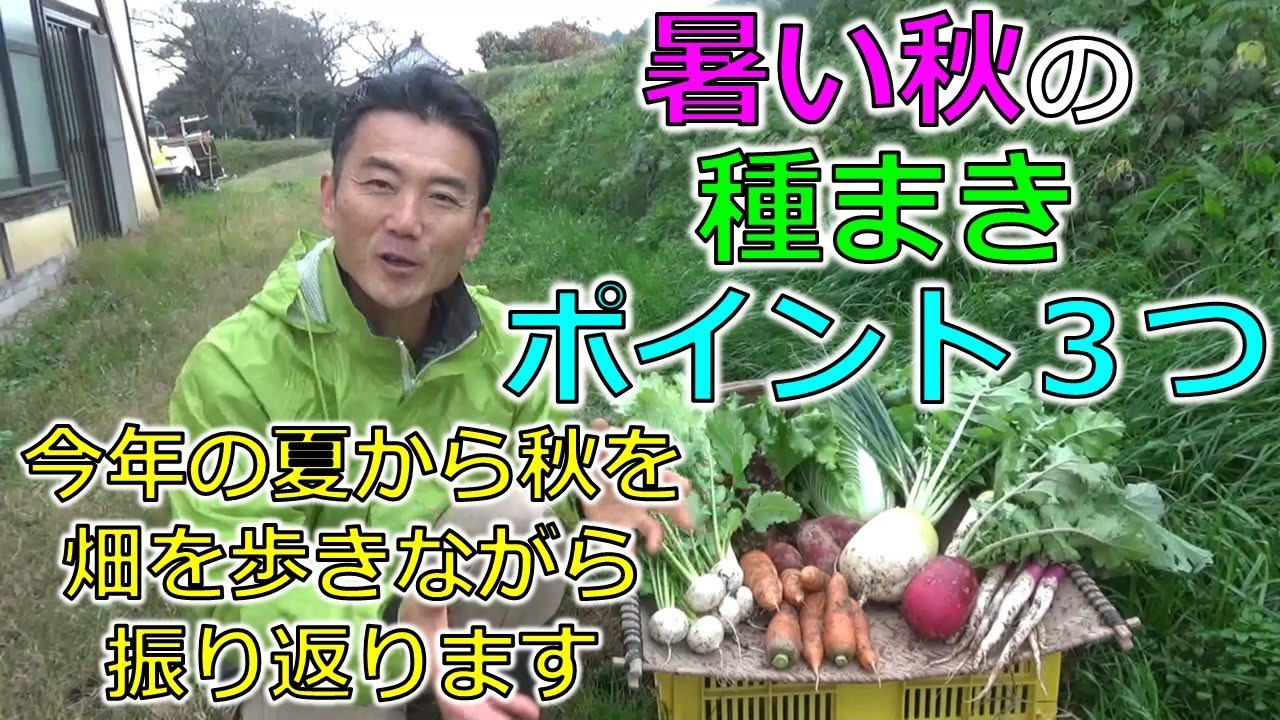 暑い秋の種まきポイント３つ　2025年の秋を振り返る