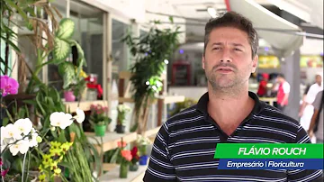 O que significa Bndes e como ele classifica as empresas?