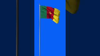 CAMEROON FLAG ANIMATION GREEN SCREEN (4K LOOP VIDEO)