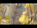 ✿ ♡ ✿ ERNESTO CORTAZAR - Don't Leave Me