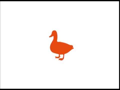 וִידֵאוֹ: איך לבשל חזה ברווז