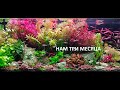 Нам три месяца после запуска на сойле ISTA. Посмотрим изменения, пробежимся по растениям.