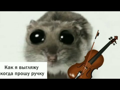 Реакция на Небуди - ГРУСТНЫЙ ХОМЯК 😢 - ОТКУДА МЕМ?