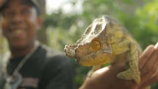 Importance of Classifying Organisms