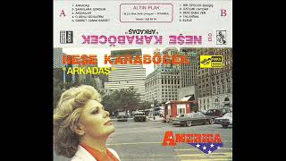 Şarkılara Sordum - Neşe Karaböcek 1986 (320 Kbps)