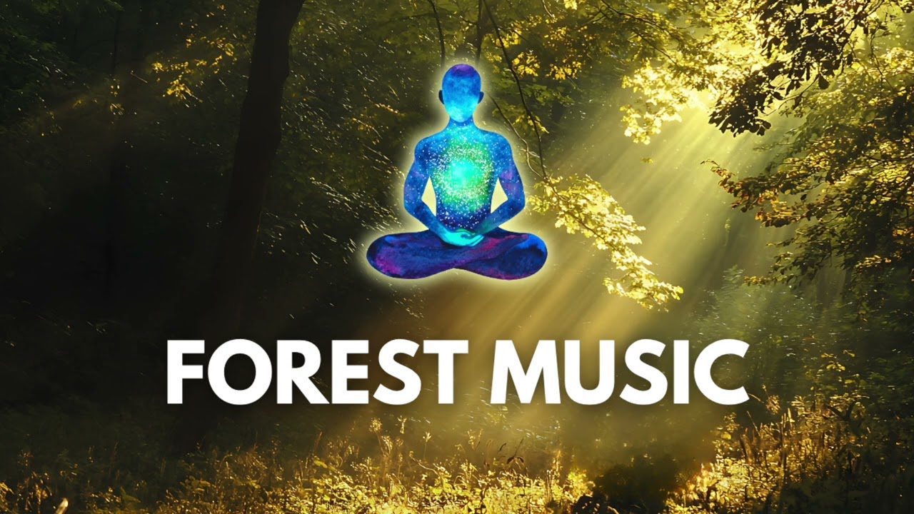 Forest Music | Calming Nature Meditation Music for Stress Relief, Deep Focus & Sleep