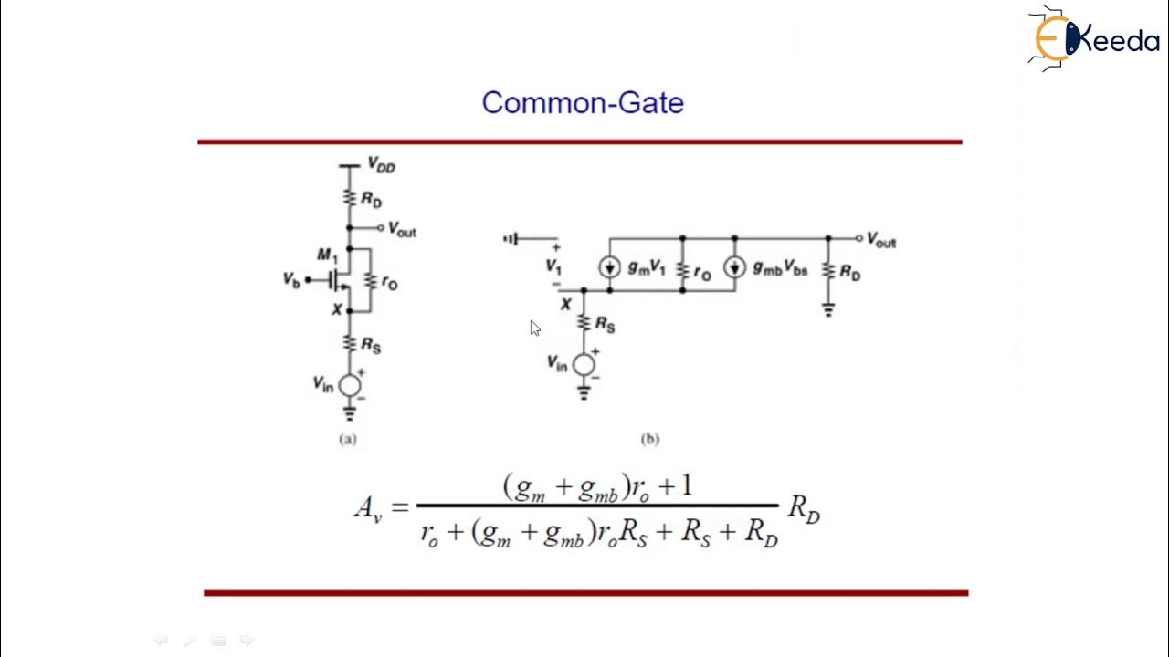 Single Stage Amplifier Common Gate Amplifier Fundamentals Analog