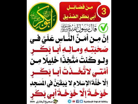 فضل ابو بكر ٣
