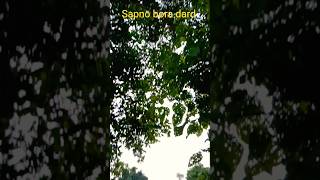 ho,,piyar jaha #everyone #like share subscribe #hightlight #২০২৫