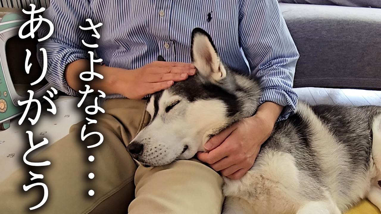 悲しい事がありました...
