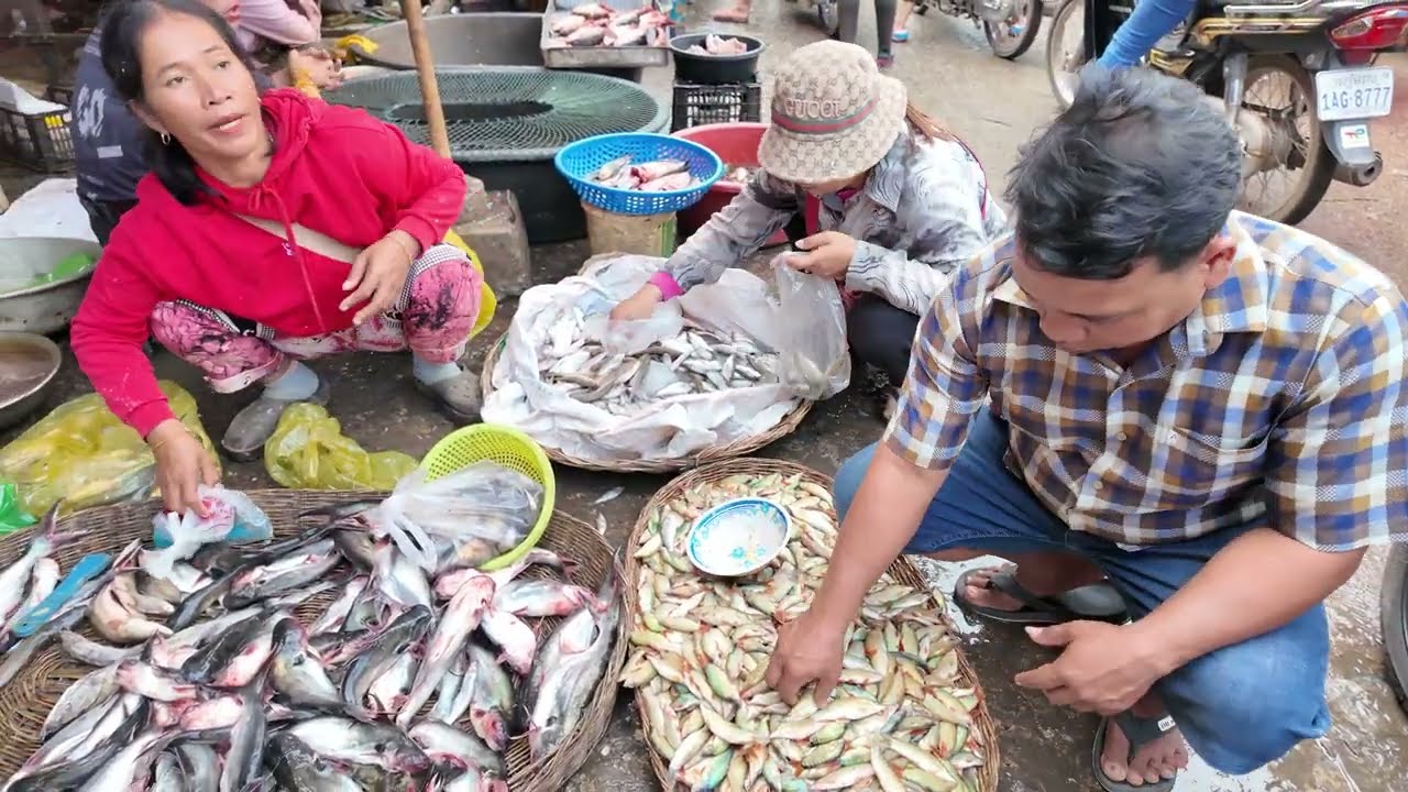 Exploring Cambodia's Traditional Fish Market | Fresh Catch, Local Life & Prices!