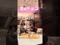 【苺×チョコ×チーズ】大人女子の甘美な午後アフタヌーン🍓🧀