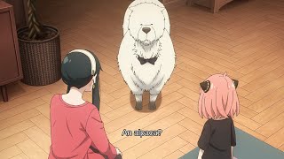 Bond Abvsed By Yor \u0026 Anya 🤣 Anime Funny Final Moment - Spy x Family