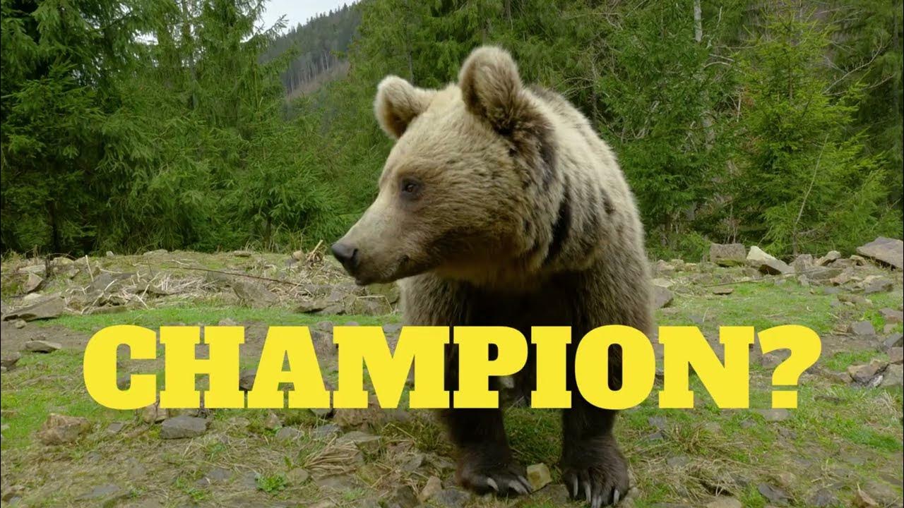 Summit March Mammal Madness Hype Video 2022 YouTube