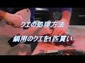 クエの処理方法 - 鍋用にクエを1匹買いする -