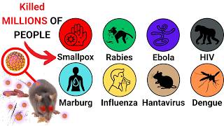 Every DEADLIEST Virus Explained In 5 Minutes