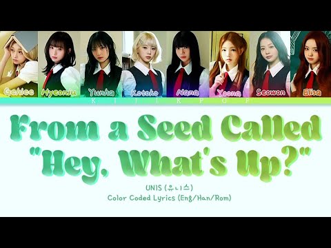 UNIS (유니스) From a Seed Called, "Hey, what's up?" (뭐해?’라는 씨앗에서) (Color Coded Lyrics)