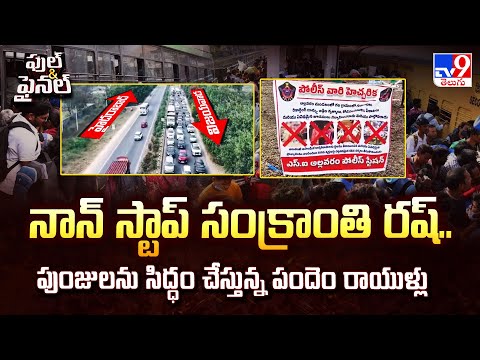 Full & Final : నాన్ స్టాప్ సంక్రాంతి రష్.. పుంజులను సిద్ధం చేస్తున్న పందెం రాయుళ్లు - TV9 - TV9