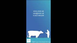 Type Classification - Farmer Focus - Bassingthorpe Holsteins